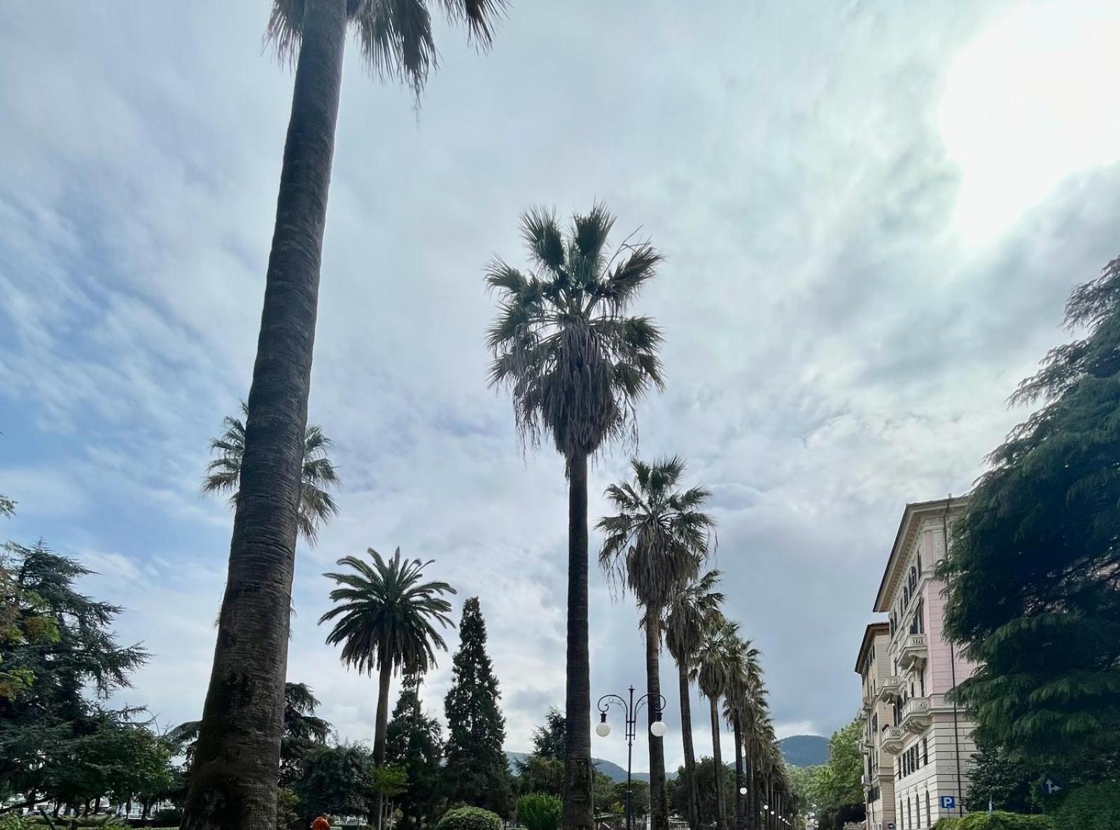 Breathe Liguria - Lucy 1 Bedroom And 1 Apartment In A Newly Renovated Nineteenth-Century Building In The Historic Center Near The Sea لا سبيتسْيا المظهر الخارجي الصورة